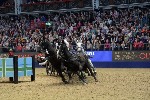 Extreme - 00552